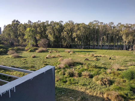 Google Maps image 17