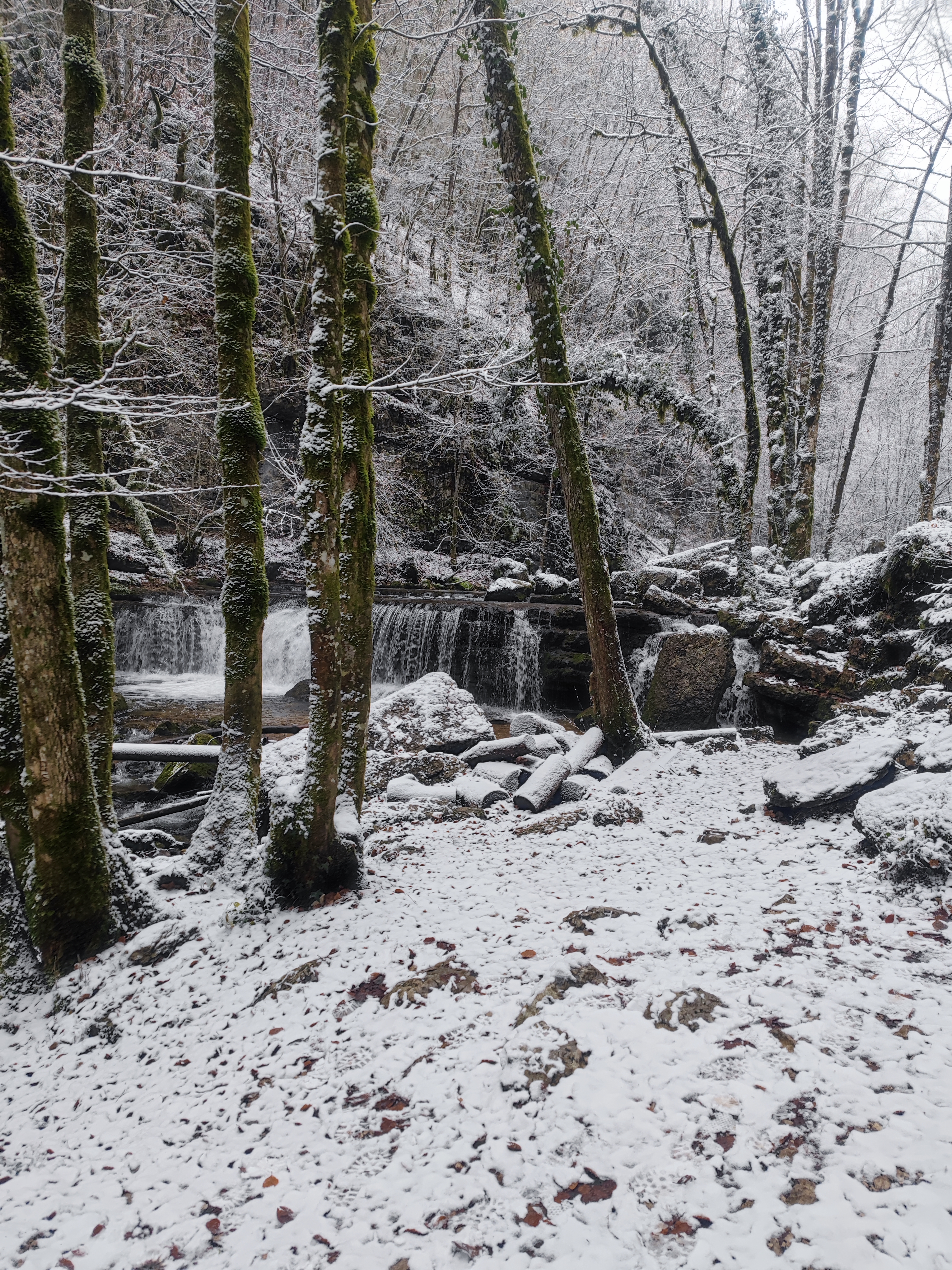Photo n° 10 de l'avis de Benoît.l fait le 10/12/2022 à 20:27