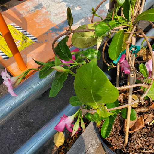 Home Improvement Store «The Home Depot», reviews and photos, 701 Boston Post Rd E, Marlborough, MA 01752, USA