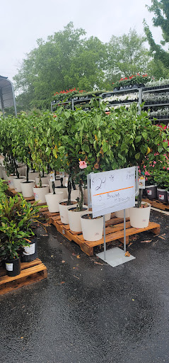 Home Improvement Store «The Home Depot», reviews and photos, 1750 Jonesboro Rd, McDonough, GA 30253, USA