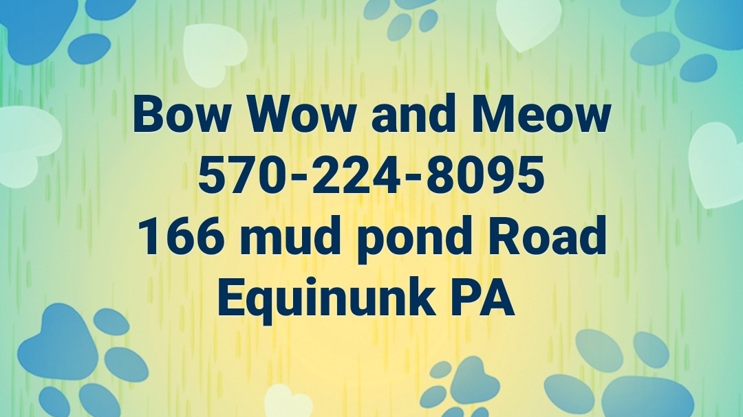 Bow Wow and Meow Boarding and Grooming