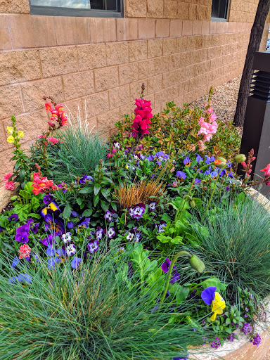 Community Center «Washington City Community Center», reviews and photos, 350 Community Center Drive, Washington, UT 84780, USA