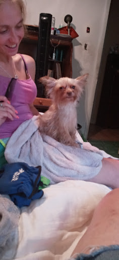 Pet Supply Store «Pet Supplies Plus», reviews and photos, 319 N Berkeley Blvd, Goldsboro, NC 27534, USA