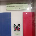 Photo n° 3 de l'avis de Giji.o fait le 17/08/2021 à 19:50 pour Insectarium de Lizio à Lizio