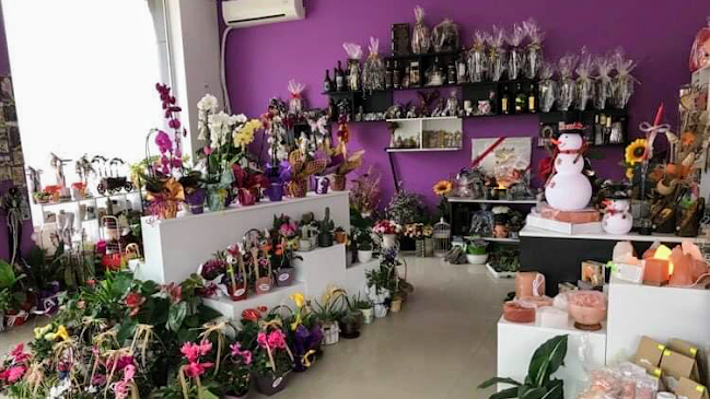 Отзиви за Бутик за цветя "Гергана" Магазин за цветя в Търговище - Цветарница