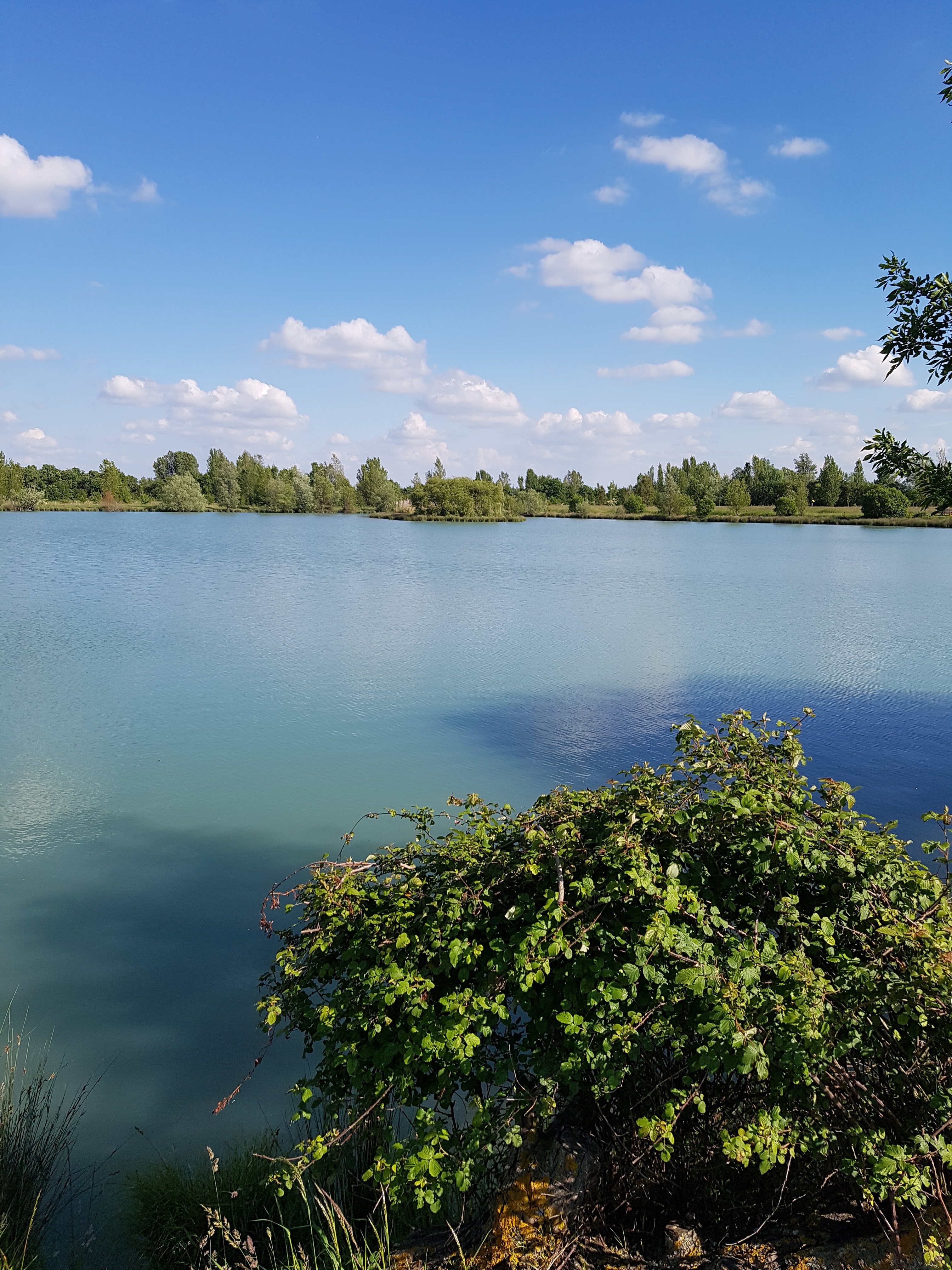 Photo n° 2 de l'avis de Cedric.o fait le 01/06/2019 à 16:01