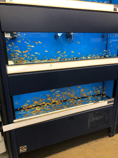 Pet Supply Store «Petco Animal Supplies», reviews and photos, 9111 Metropolitan Ave, Rego Park, NY 11374, USA