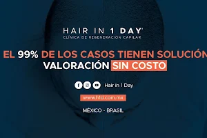 Hair in 1 Day image