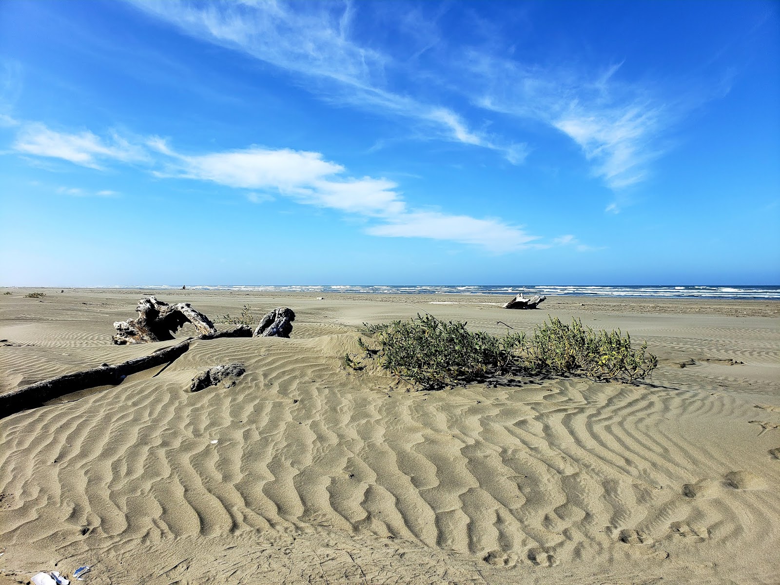 Zdjęcie Copalis Beach obszar udogodnień