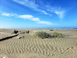 Zdjęcie Copalis Beach obszar udogodnień