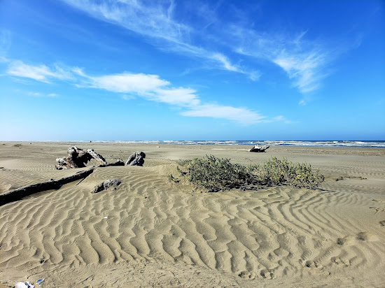 Copalis Beach