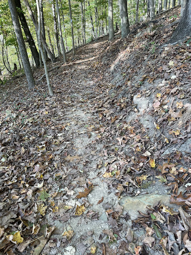 Wetzel 4-H Trail