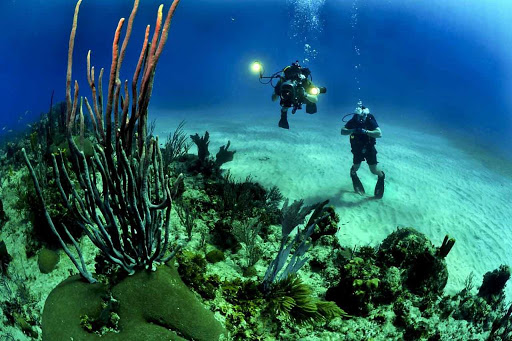 Centros de Buceo | Buceo | Bucear