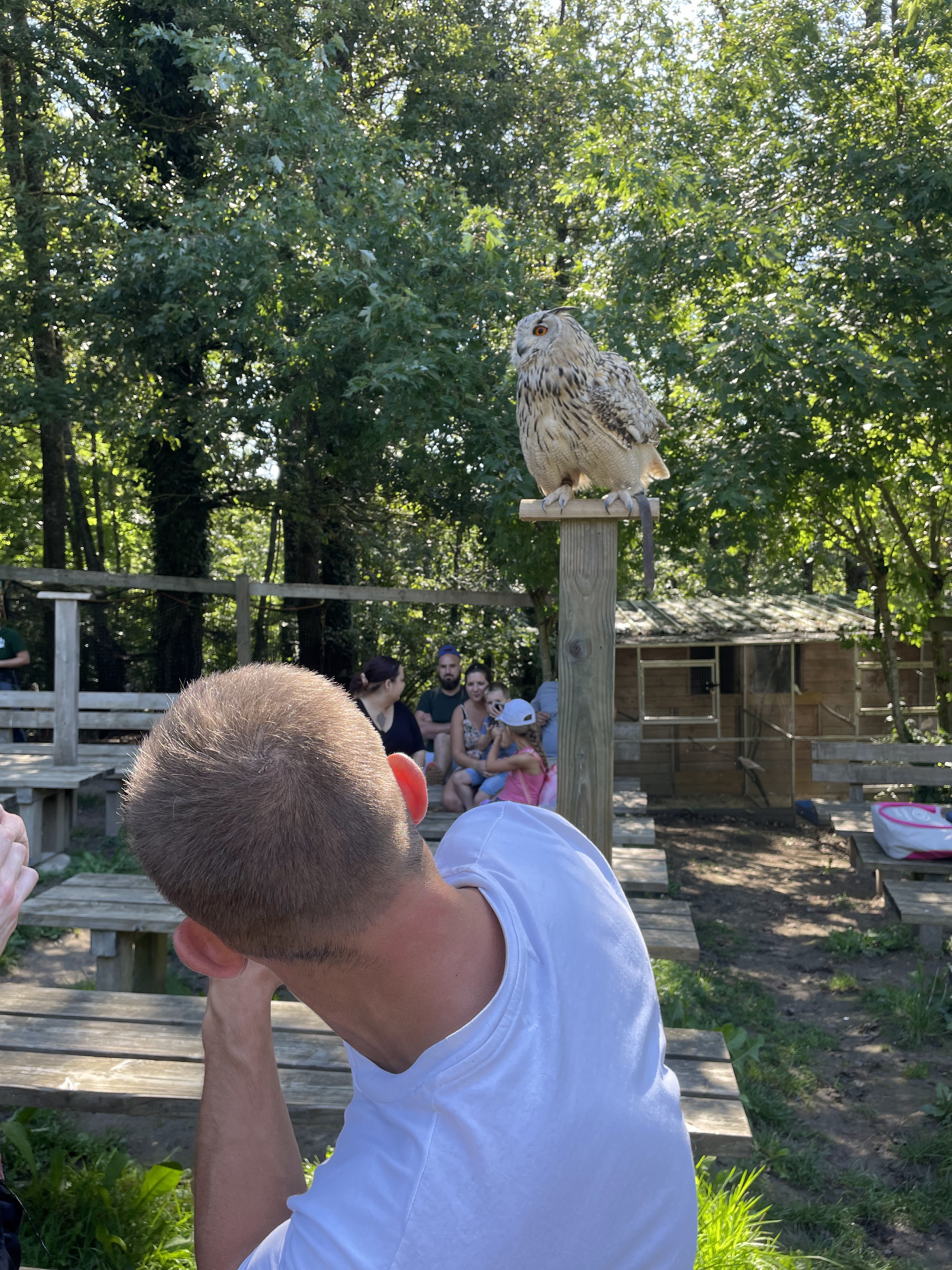 Photo n° 7 de l'avis de catherine.h fait le 22/08/2023 à 10:19