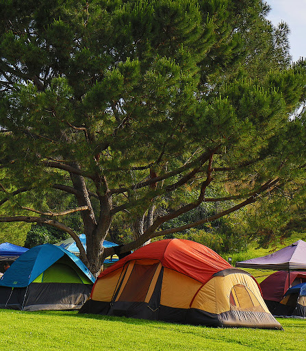 Bonelli Bluffs RV Resort & Campground image