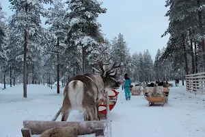 Arctic Reindeer Oy image
