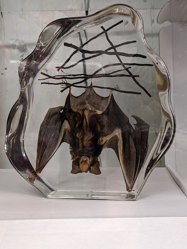 Hobby Store «Time Machine Hobby», reviews and photos, 71 Hilliard St, Manchester, CT 06042, USA