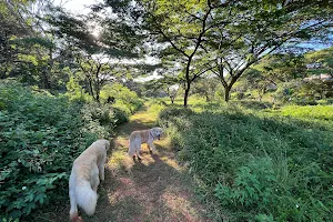 Bridgevale Park image