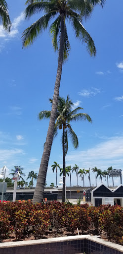 Travel Agency «Go Miami Card at Miami Beach Visitor Center», reviews and photos, 1920 Meridian Ave, Miami Beach, FL 33139, USA