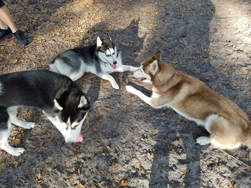 Dog Park «Arbor Dog Park», reviews and photos, 1405 N Grant St, Longwood, FL 32750, USA