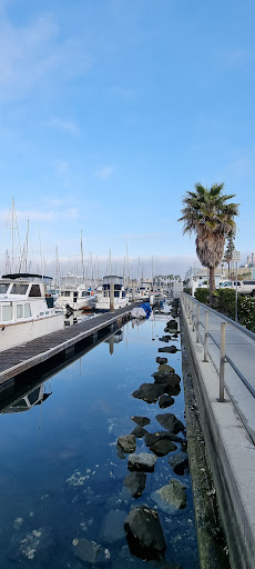 Port Royal Yacht Club (PRYC)