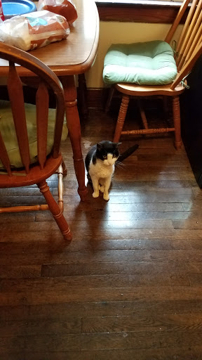 Pet Supply Store «Petco Animal Supplies», reviews and photos, 3387 Steelyard Dr, Cleveland, OH 44109, USA