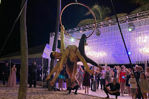 Les Ailes du Désir (LADD) | Miami Contemporary Circus School