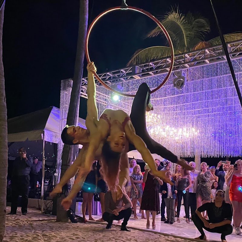 Les Ailes du Désir (LADD) | Miami Contemporary Circus School