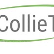Collietex Textile Import Export Industry And Trade LTD