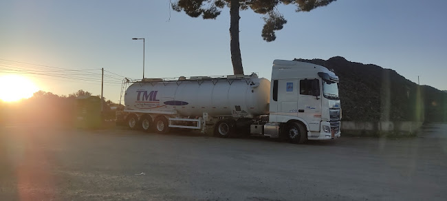 Transportes Os Três Mosqueteiros Lda. - Serviço de transporte