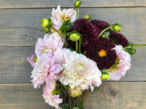 Florist «Flowers by Nancy, too!», reviews and photos, 1208 Ranch Rd 620 S, Lakeway, TX 78734, USA