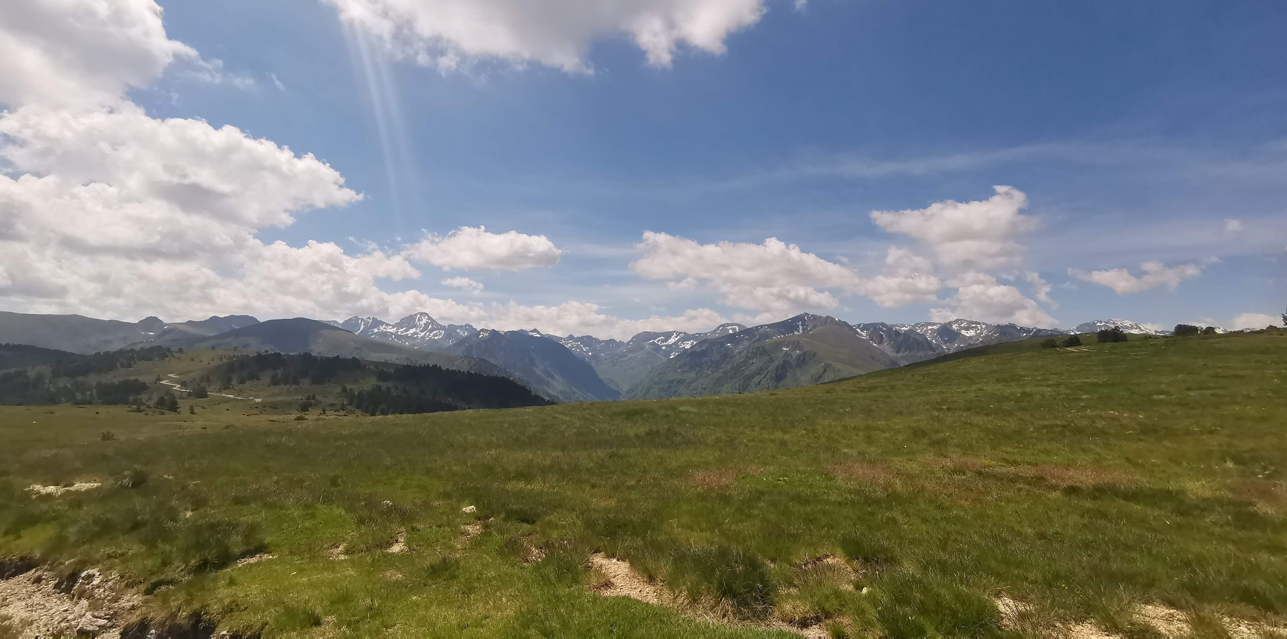 Photo n° 18 de l'avis de Angélique. fait le 03/06/2020 à 18:17