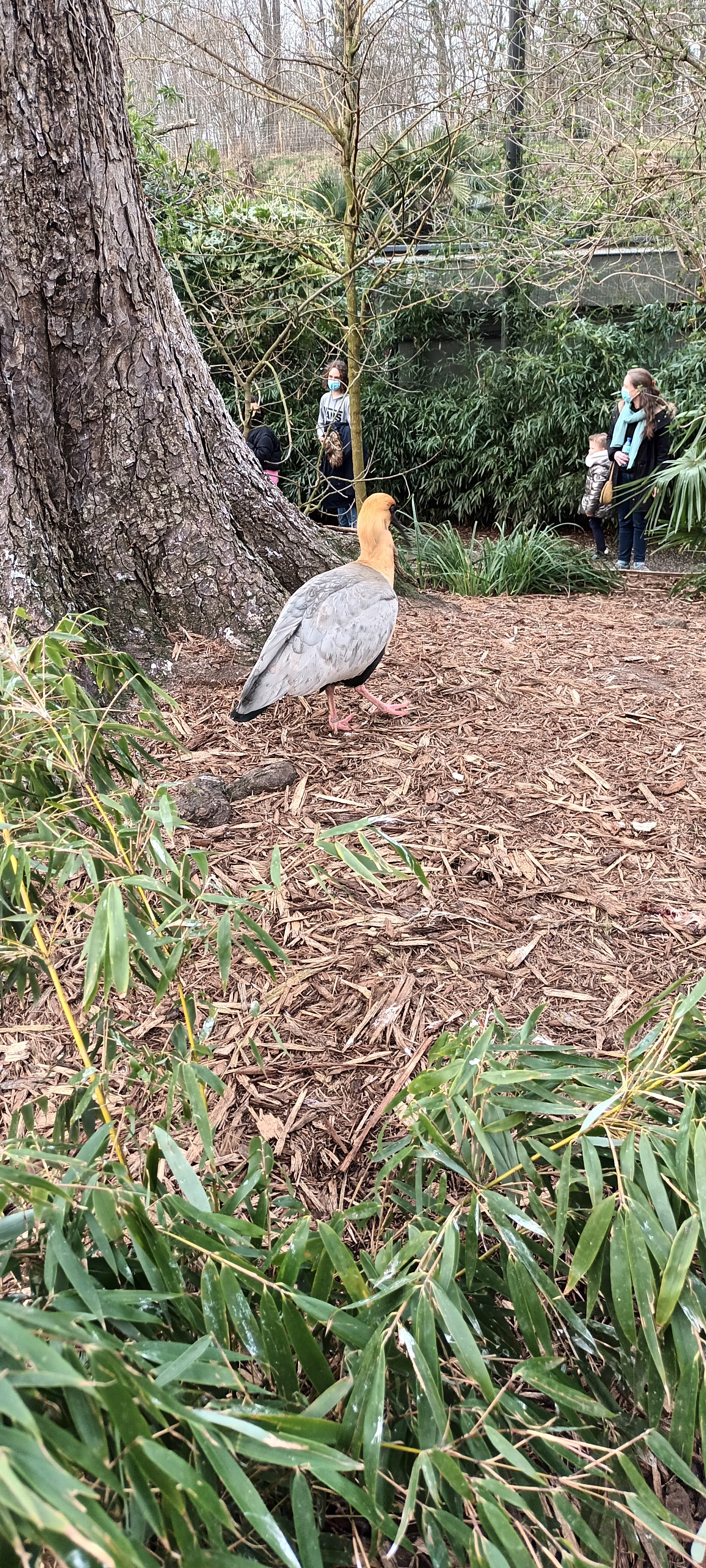 Photo n° 12 de l'avis de Audrey.e fait le 02/03/2022 à 18:32