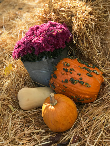 Produce Market «Washington Fruit Place At Barrett Orchards», reviews and photos, 1209 Pecks Canyon Rd, Yakima, WA 98908, USA