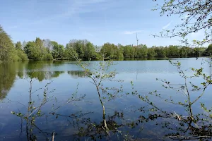 Holtwicker See (LFV Gewässer) image