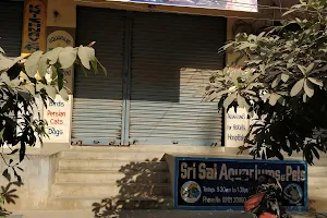 Sri Sai Aquariums & Pets image