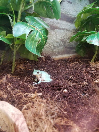 Pet Supply Store «Petco Animal Supplies», reviews and photos, 187 Stonebrook Pl, Jackson, TN 38305, USA