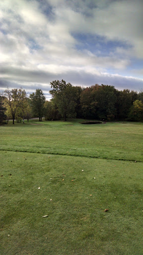 Golf Club «Eagle View Golf Club», reviews and photos, 2602 Tomlinson Rd, Mason, MI 48854, USA