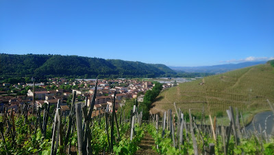 Domaine Bonnefond Eliane et Sandrine à Ampuis