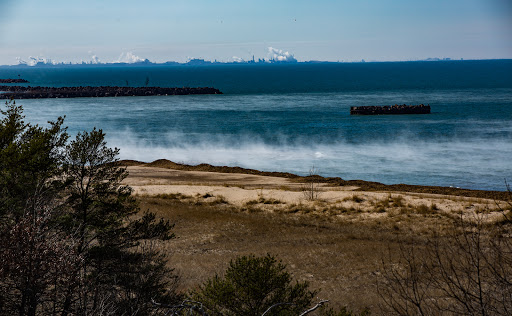 Hiking Area «Cowles Bog Trail», reviews and photos, 1618 N Mineral Springs Rd, Dune Acres, IN 46304, USA