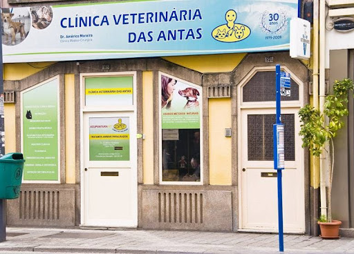 Clínica Veterinária das Antas