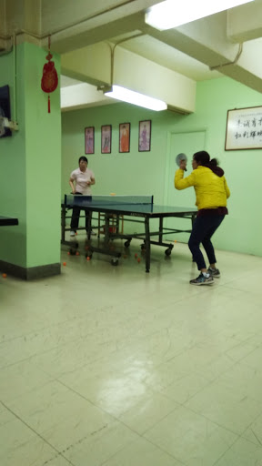 Table Tennis Training Center