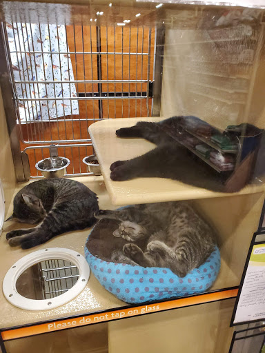 Pet Supply Store «PetSmart», reviews and photos, 1791 Oconee Connector Suite 130, Athens, GA 30606, USA