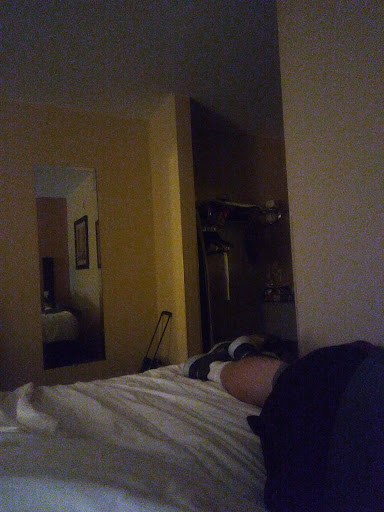 Hotel «Quality Inn & Suites West Waterpark», reviews and photos, 317 N Cedar Bluff Rd, Knoxville, TN 37923, USA