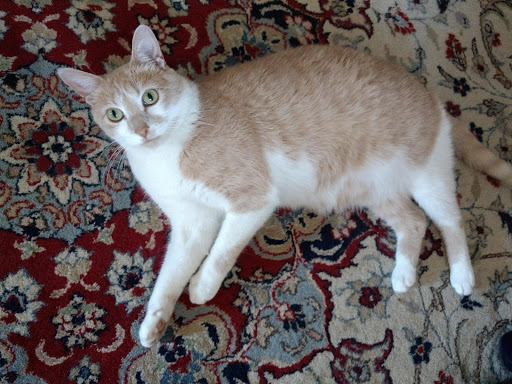 Pet Supply Store «Mounds Pet Food Warehouse», reviews and photos, 5350 King James Way, Fitchburg, WI 53719, USA