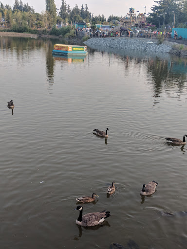 Amusement Park «Wild Waves Theme & Water Park», reviews and photos, 36201 Enchanted Pkwy S, Federal Way, WA 98003, USA