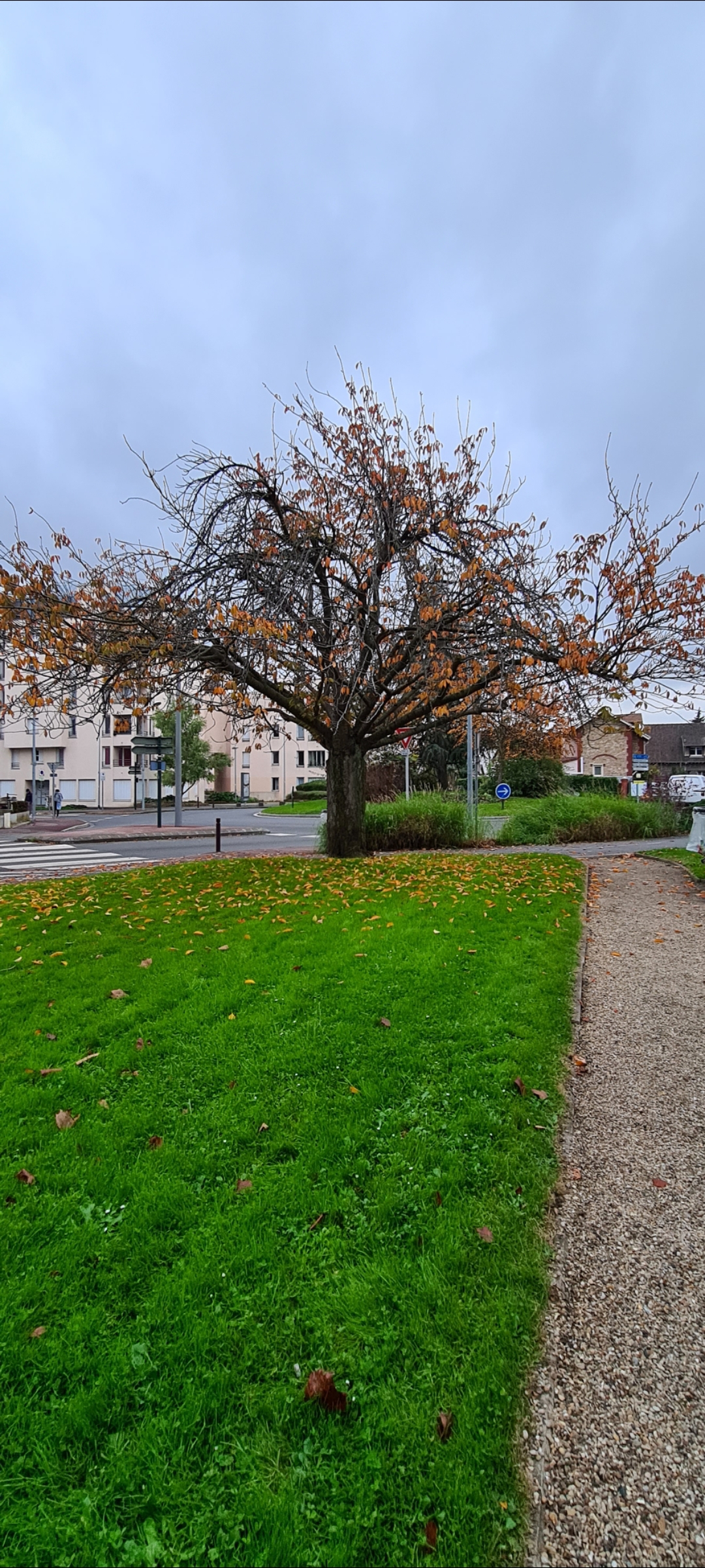 Photo n° 4 de l'avis de Murad. fait le 18/11/2022 à 16:47