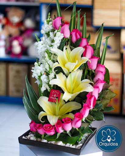 Floreria Orquídea Boutique Floral – Cuautla