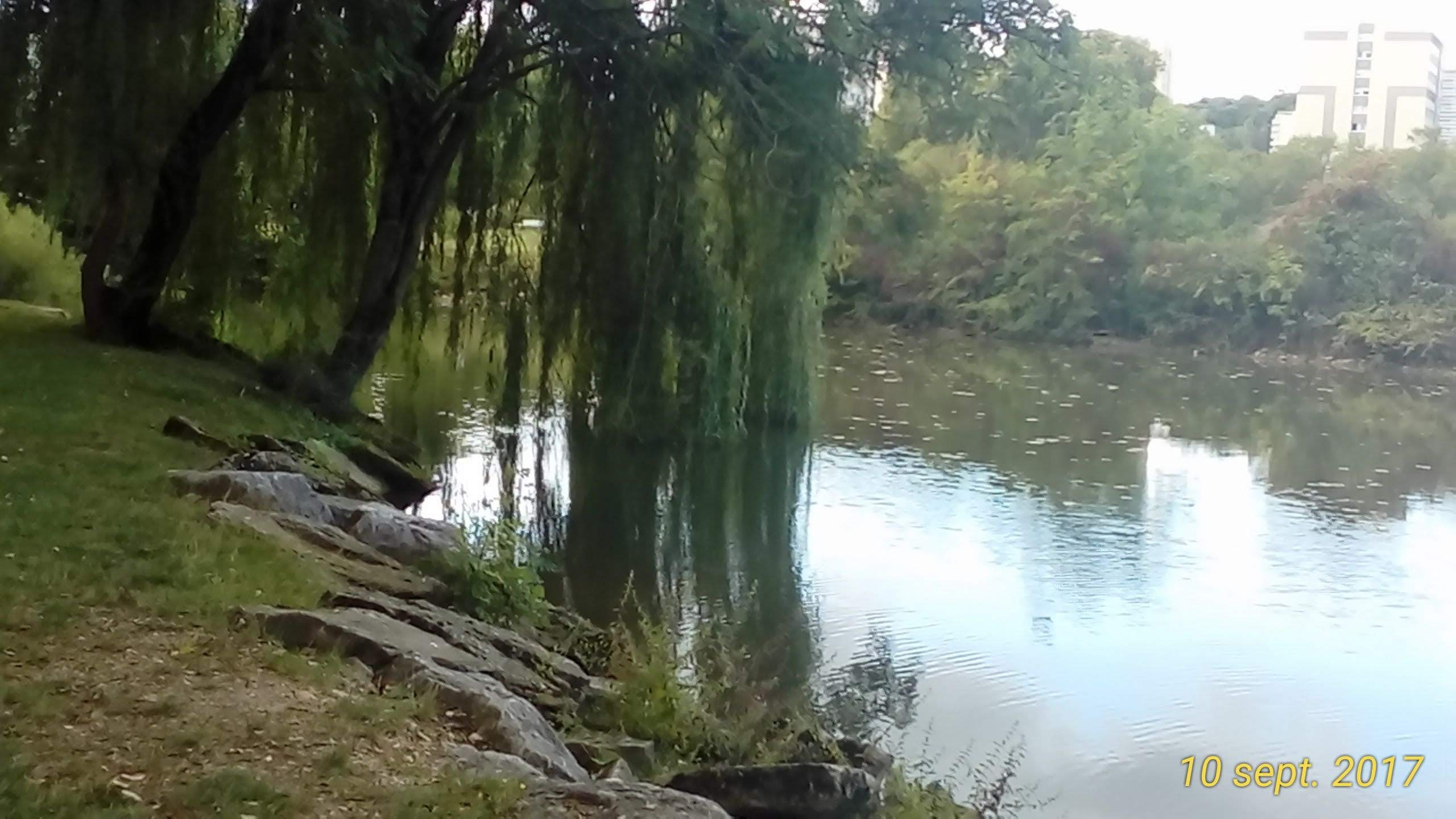 Photo n° 1 de l'avis de Christophe.A fait le 11/08/2021 à 16:31