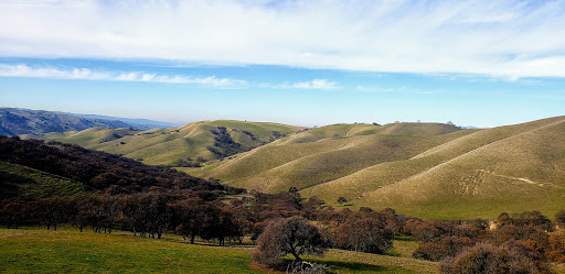 Pet Supply Store «Pet Food Express», reviews and photos, 1436 Old First St, Livermore, CA 94550, USA